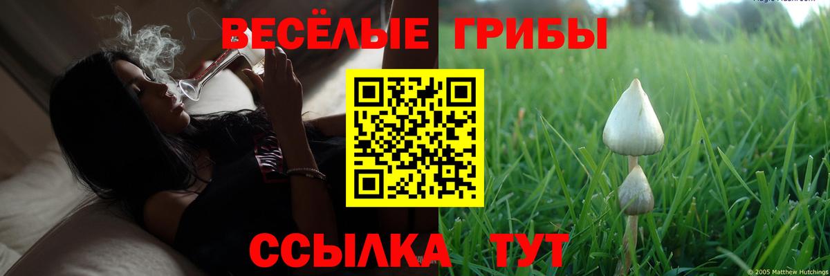 Светлоград  цены наркотик  Вход с VPN  Псилоцибиновые грибы мицелий 